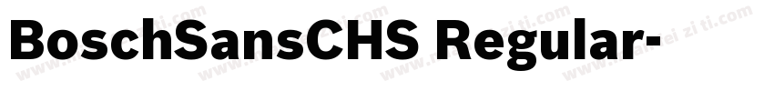 BoschSansCHS Regular字体转换